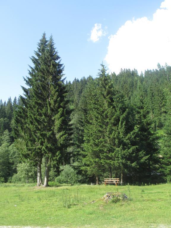 Ferienhaus Schwarzenbacher Lungötz Værelse billede